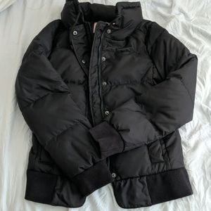 NWT Juicy Couture Puffy Jacket